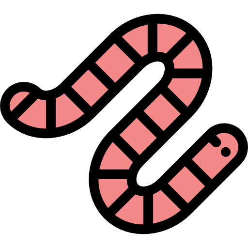 Worm